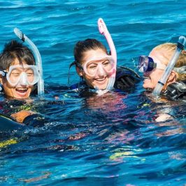 Discover Scuba Diving (Σκάφος)