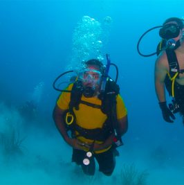 Discover Scuba Diving (Shore)