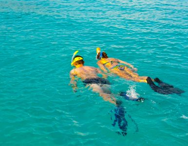 Skin Diver | Snorkelling (Boat)