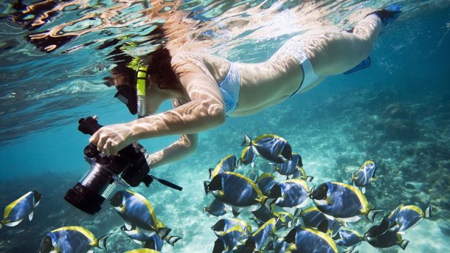 Tips for taking great underwater photographs